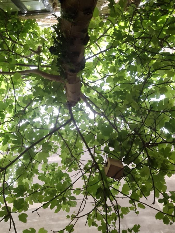 Ai Due Cortili Apartment Trapani Bagian luar foto